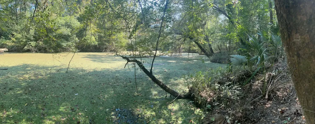 135 Arrowhead Point Orrville AL 36767