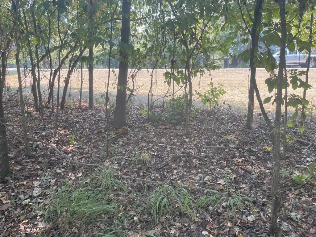 135 Arrowhead Point Orrville AL 36767