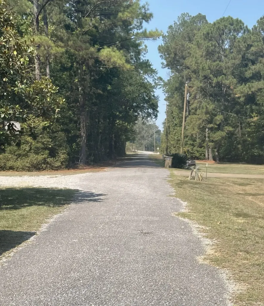 135 Arrowhead Point Orrville AL 36767