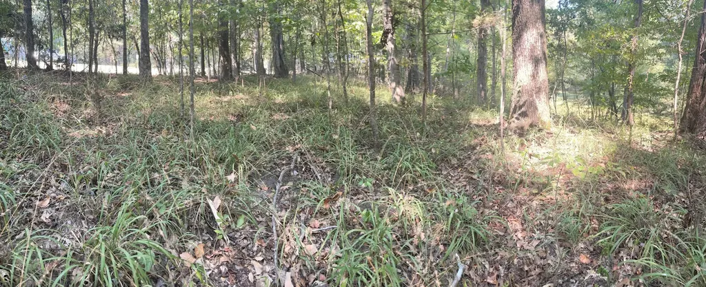 135 Arrowhead Point Orrville AL 36767