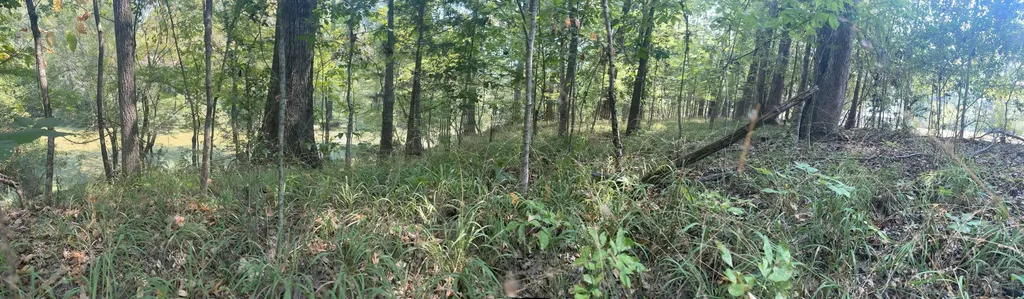 135 Arrowhead Point Orrville AL 36767