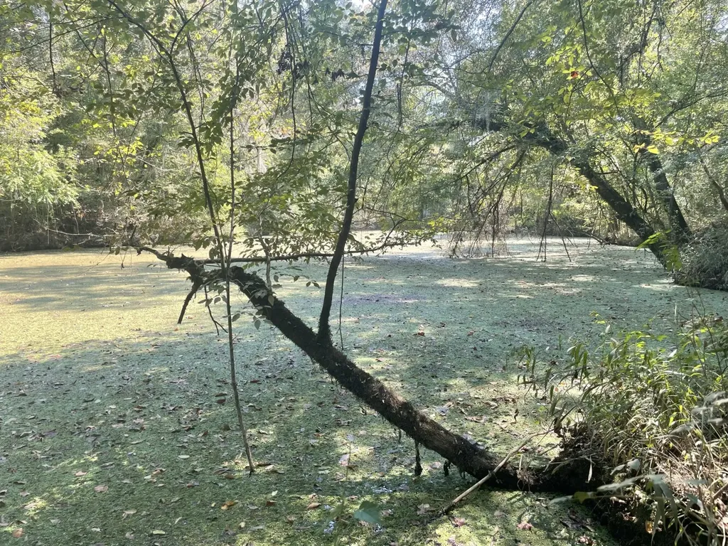 135 Arrowhead Point Orrville AL 36767