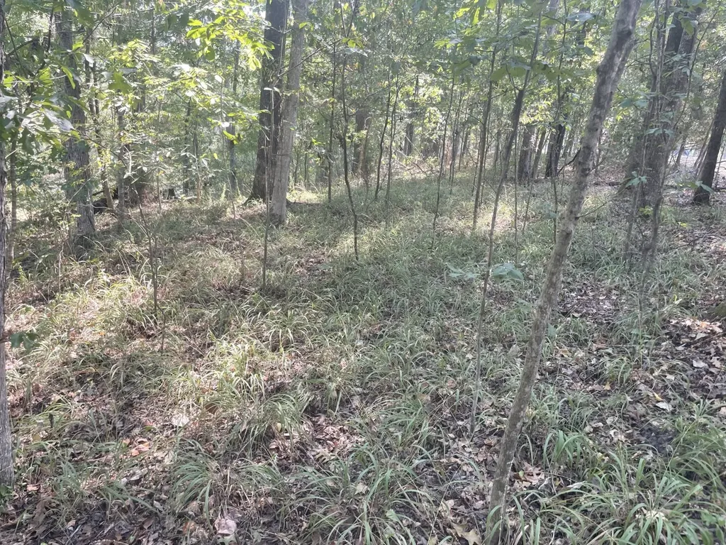 135 Arrowhead Point Orrville AL 36767