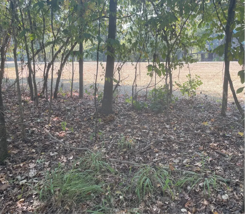 135 Arrowhead Point Orrville AL 36767