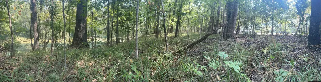 135 Arrowhead Point Orrville AL 36767