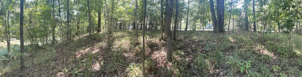 135 Arrowhead Point Orrville AL 36767