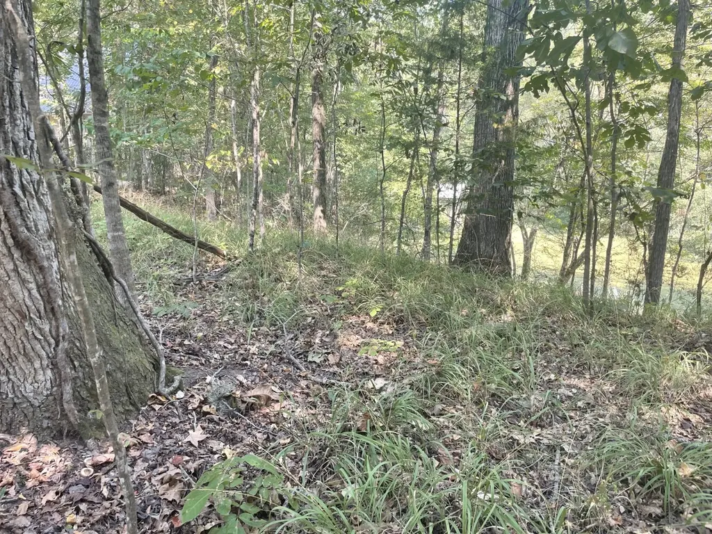 135 Arrowhead Point Orrville AL 36767