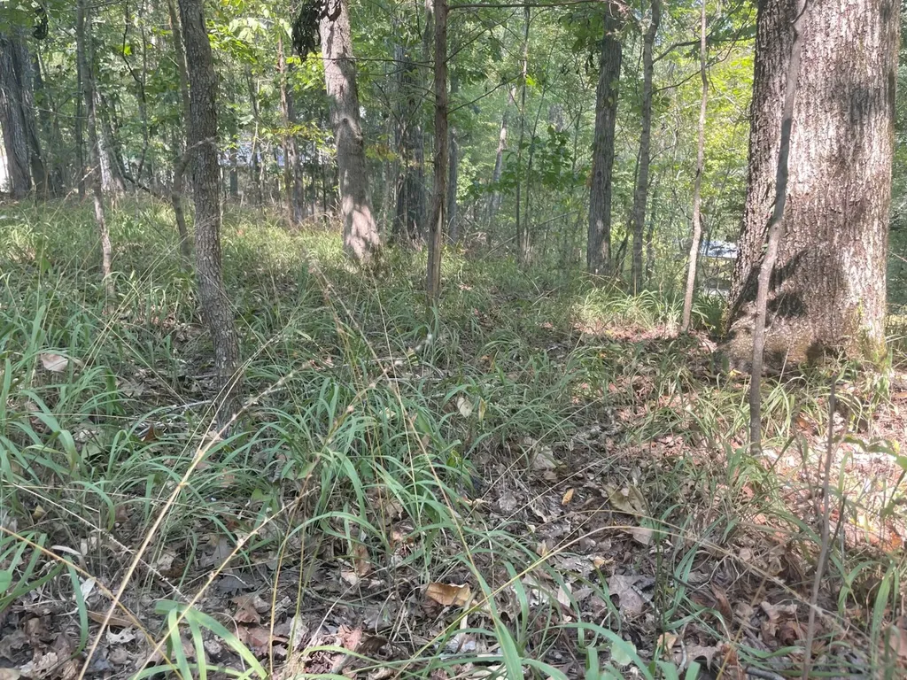 135 Arrowhead Point Orrville AL 36767