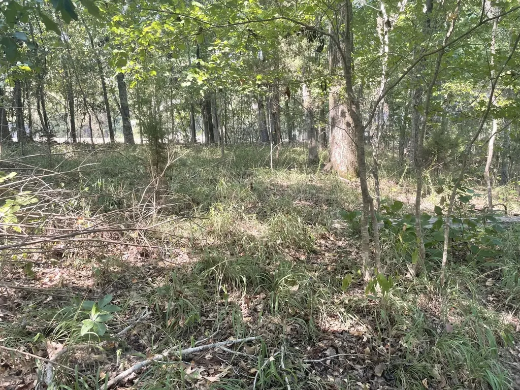 135 Arrowhead Point Orrville AL 36767