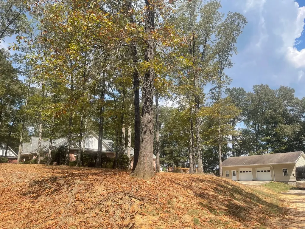 3807 Turkey Run Jasper AL 35504