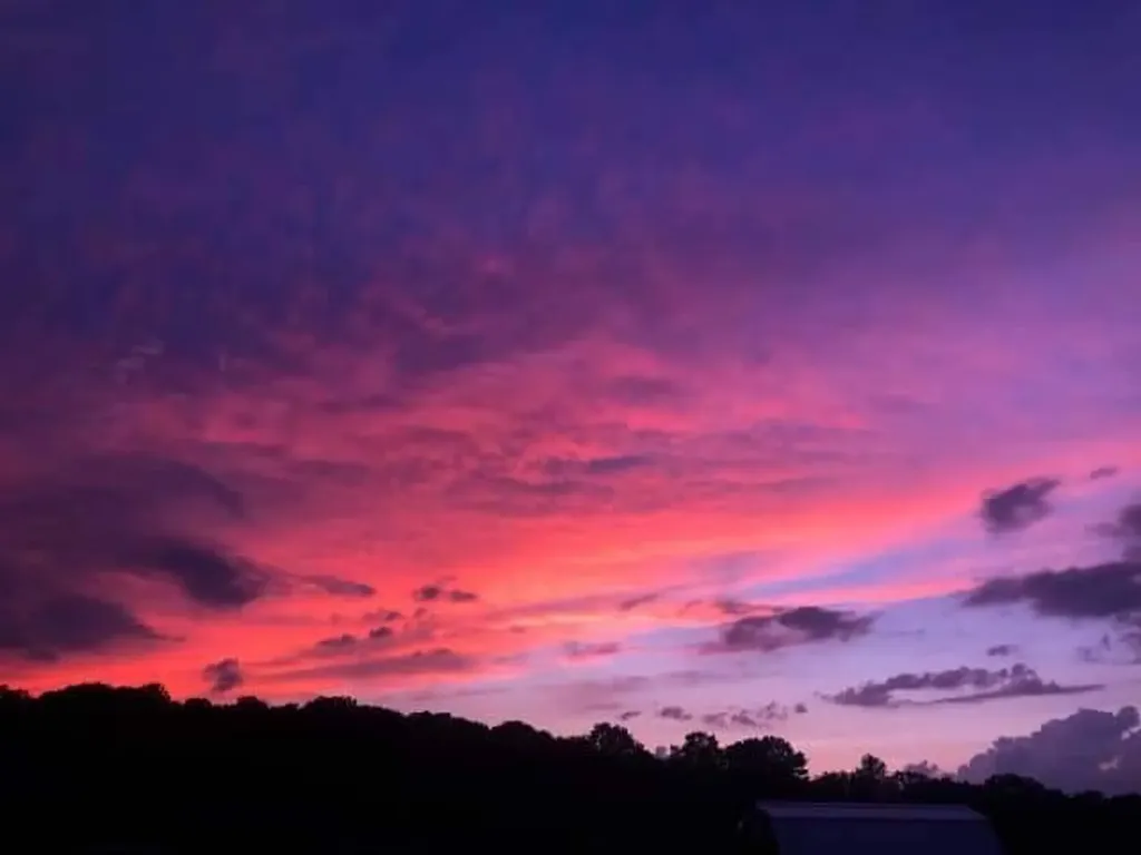 785 Cr 1042 Centre AL 35960