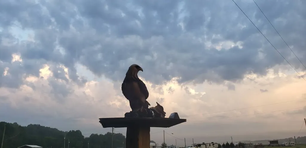 785 Cr 1042 Centre AL 35960