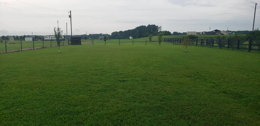 785 Cr 1042 Centre AL 35960