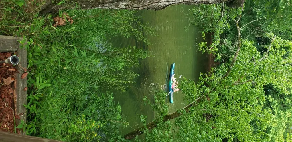 785 Cr 1042 Centre AL 35960