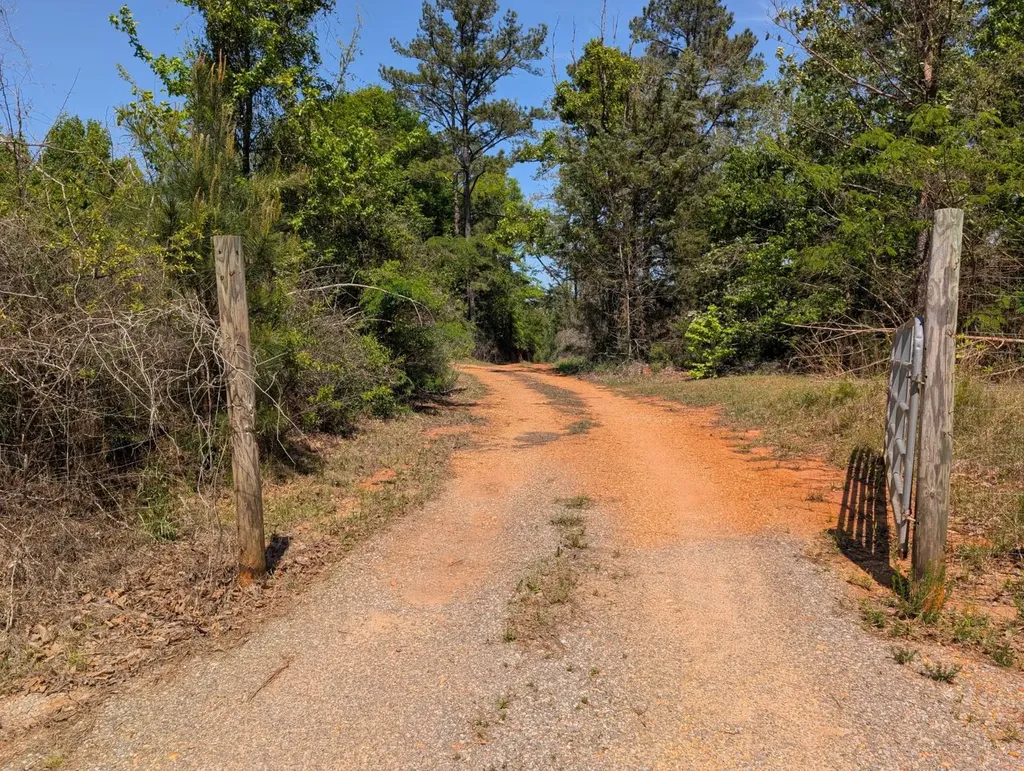 Highway 265 Camden AL 36726