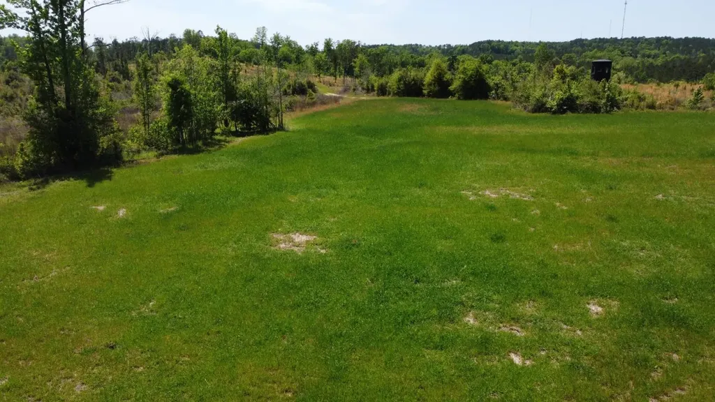 Highway 265 Camden AL 36726