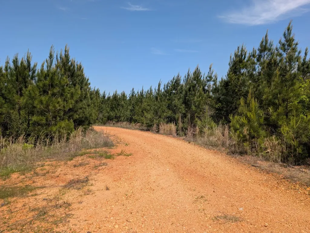 Highway 265 Camden AL 36726