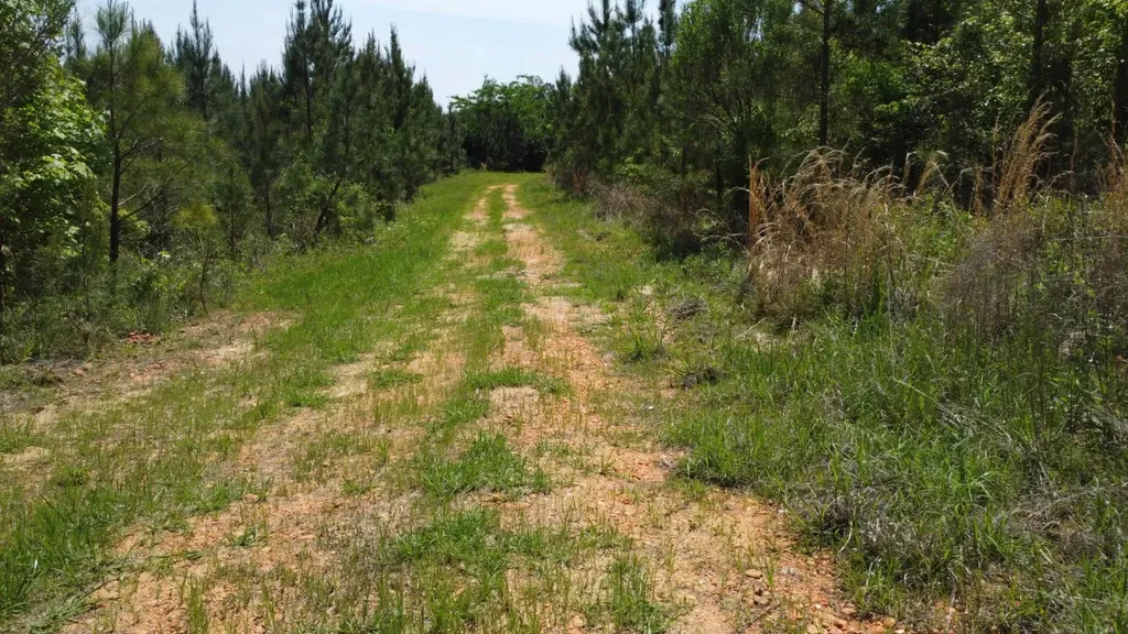 Highway 265 Camden AL 36726