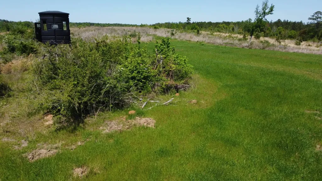 Highway 265 Camden AL 36726