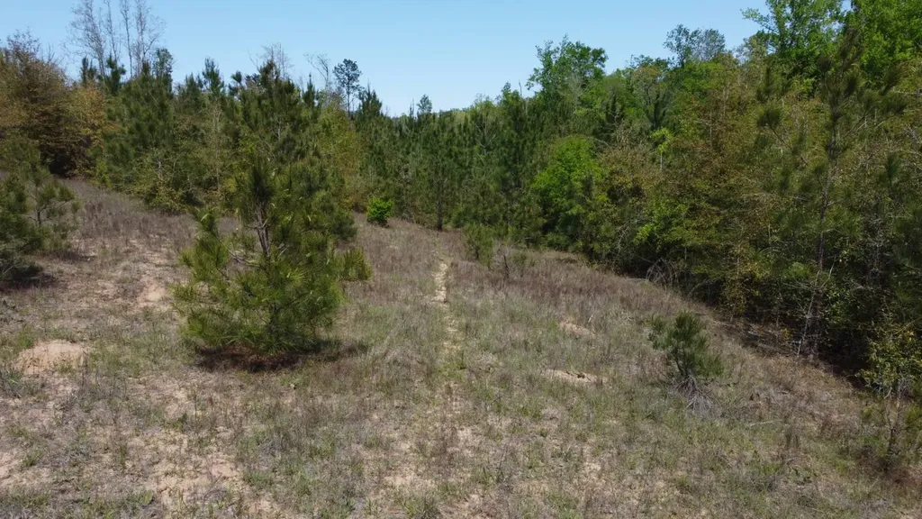 Highway 265 Camden AL 36726