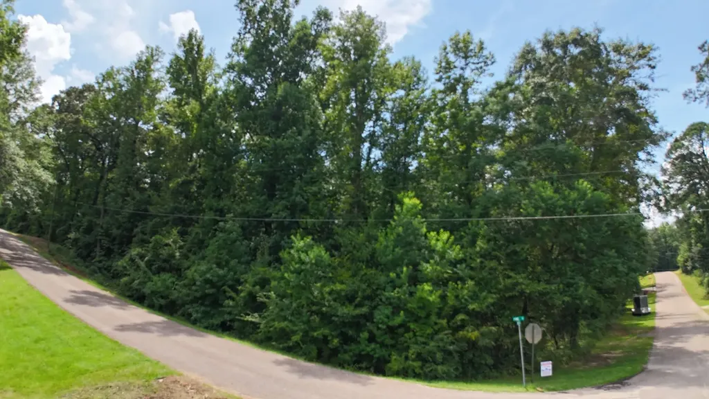 0 Pine Street Grove Hill AL 36451