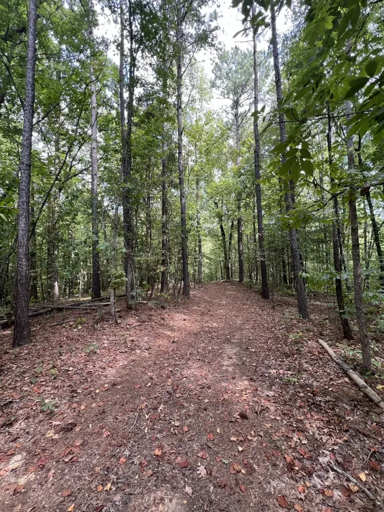 0 Judson Park Drive Cottondale AL 35453
