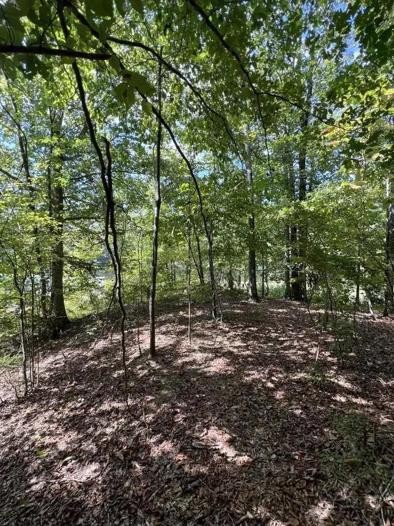 0 Judson Park Drive Cottondale AL 35453