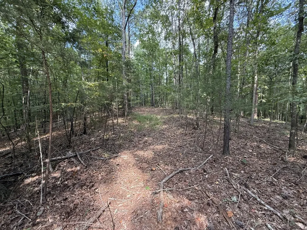 0 Judson Park Drive Cottondale AL 35453