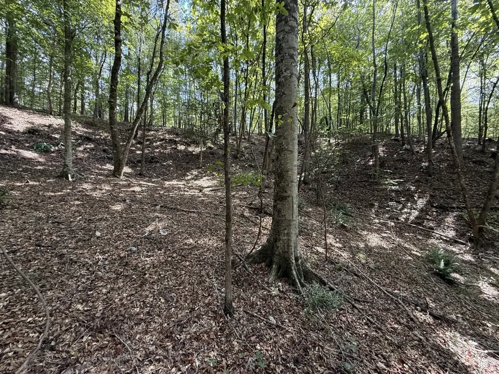 0 Judson Park Drive Cottondale AL 35453