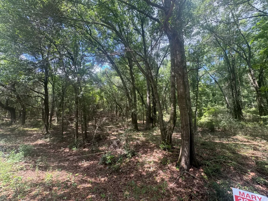 0 Court Street/old Swimming Pool Road Grove Hill AL 36451