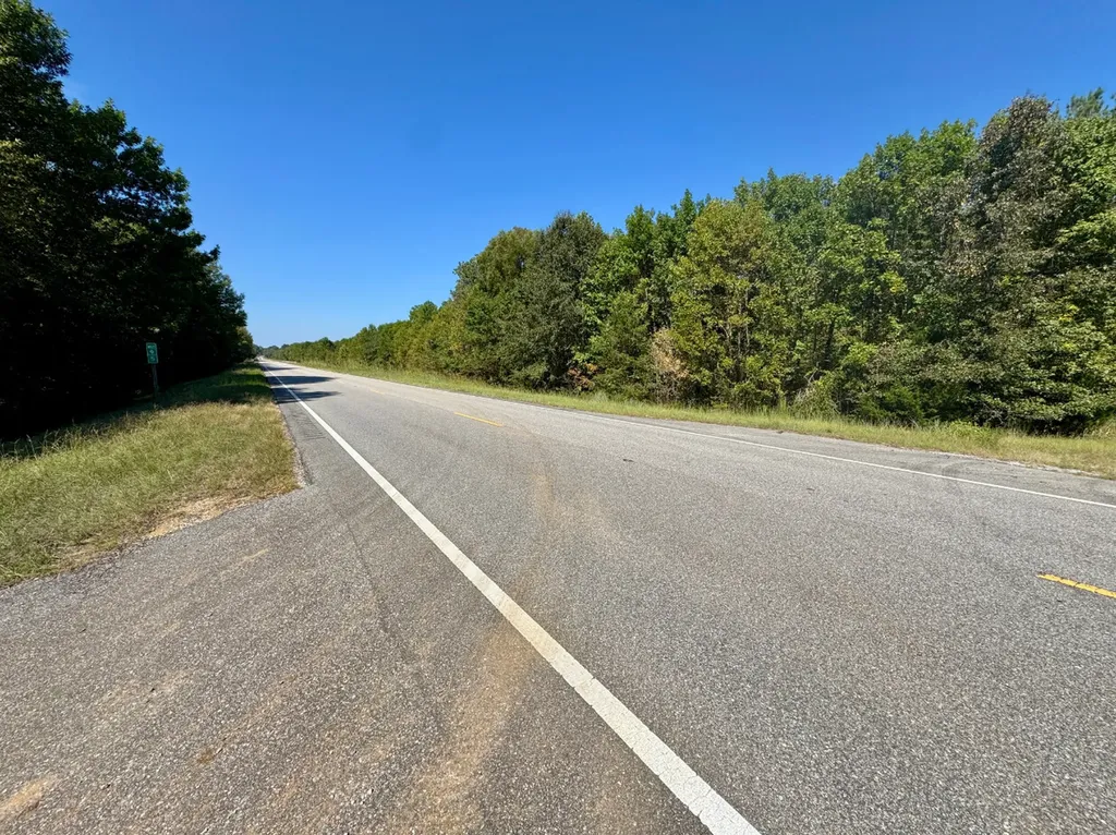 0 Highway 21 Pine Apple AL 36768