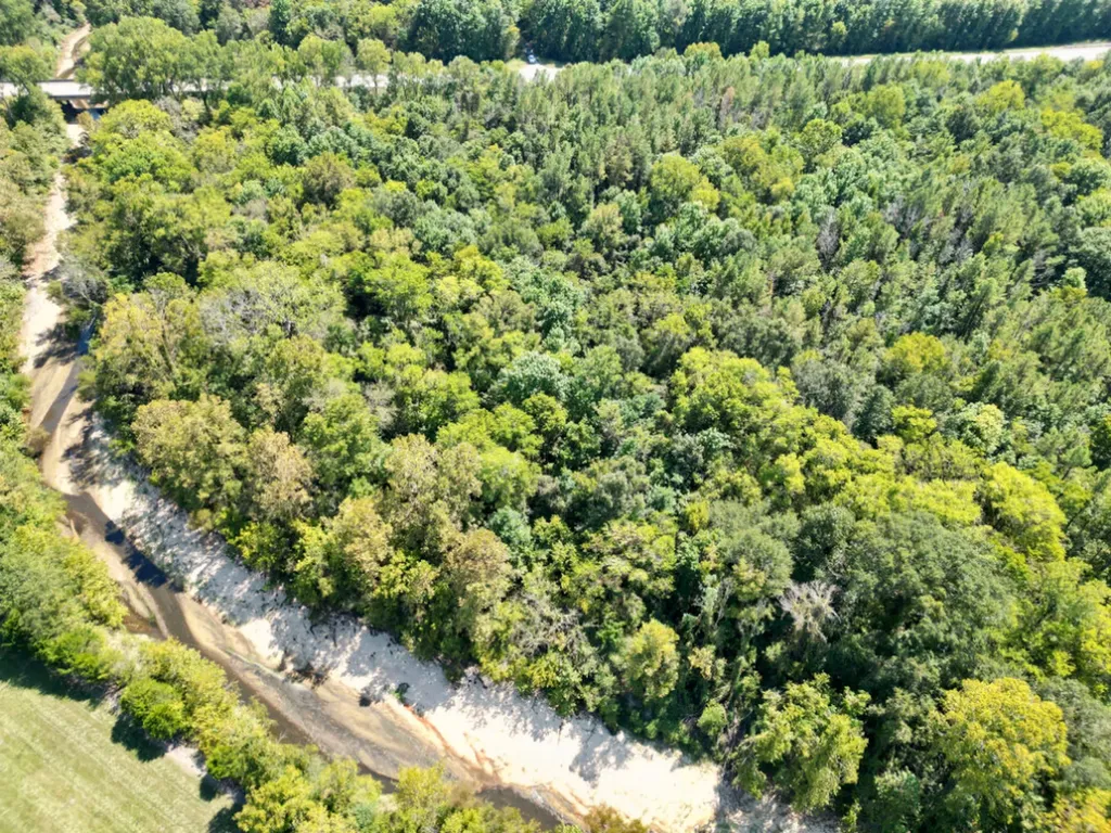 0 Highway 21 Pine Apple AL 36768