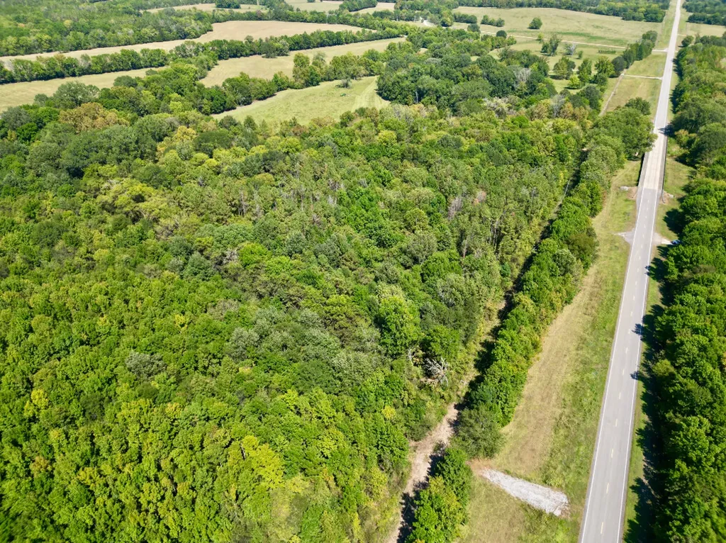 0 Highway 21 Pine Apple AL 36768