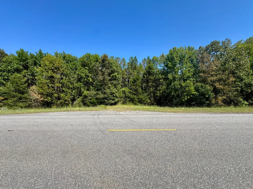 0 Highway 21 Pine Apple AL 36768