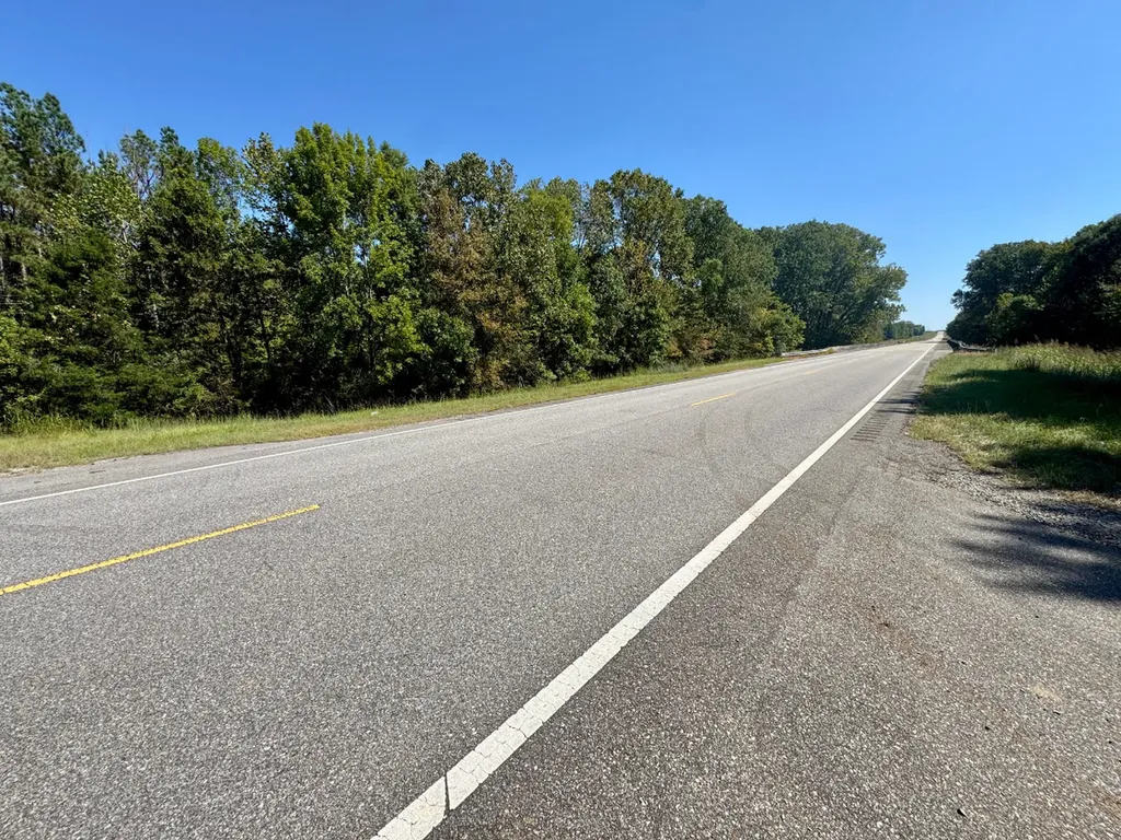 0 Highway 21 Pine Apple AL 36768