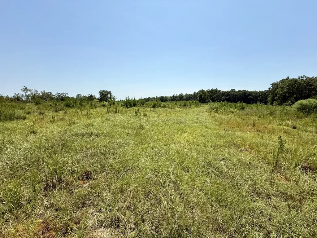 0 Louella Road Mcintosh AL 36553