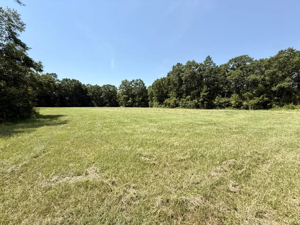 0 Louella Road Mcintosh AL 36553