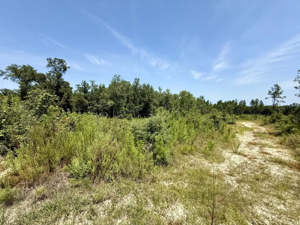 0 Louella Road Mcintosh AL 36553