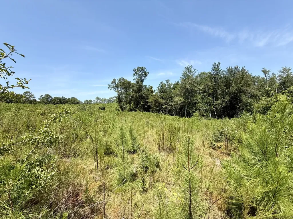 0 Louella Road Mcintosh AL 36553