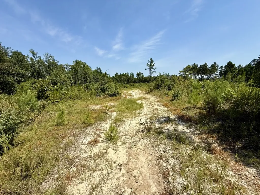 0 Louella Road Mcintosh AL 36553