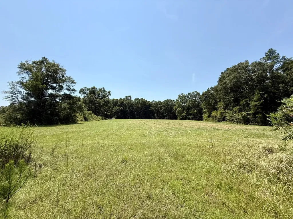 0 Louella Road Mcintosh AL 36553