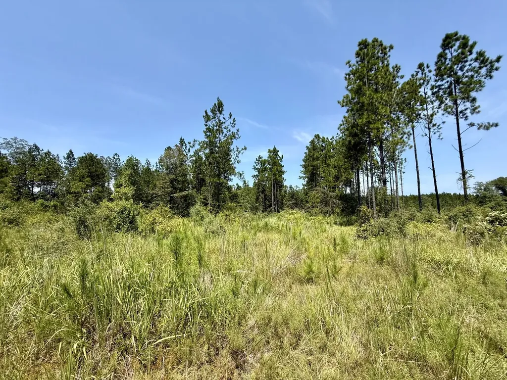 0 Louella Road Mcintosh AL 36553