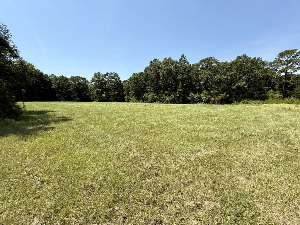 0 Louella Road Mcintosh AL 36553