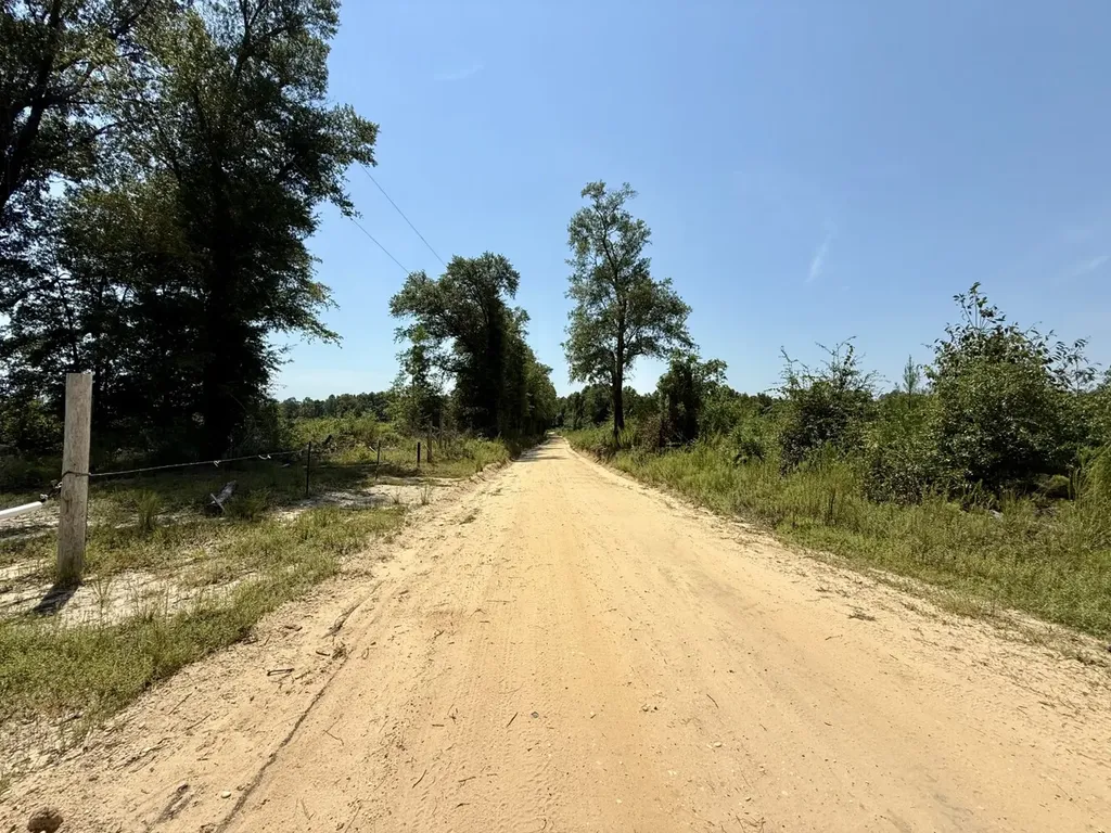 0 Louella Road Mcintosh AL 36553