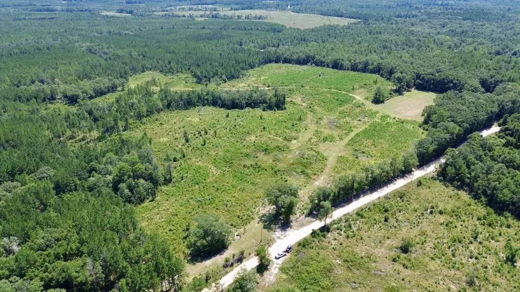 0 Louella Road Mcintosh AL 36553