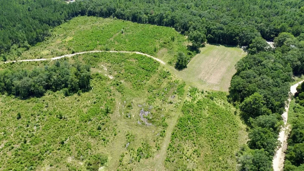 0 Louella Road Mcintosh AL 36553