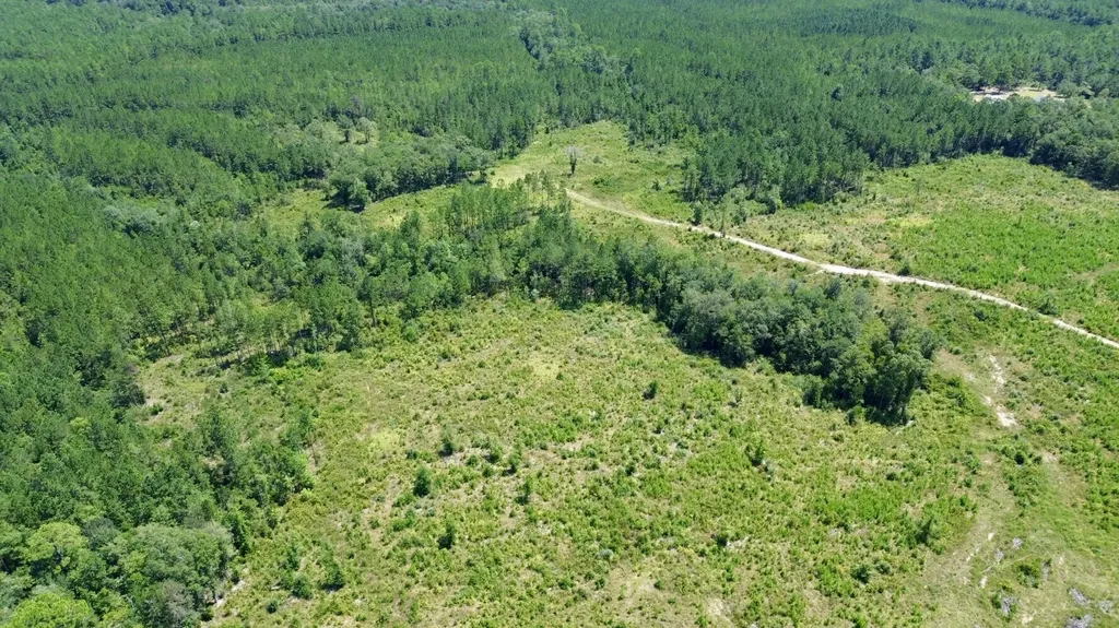 0 Louella Road Mcintosh AL 36553