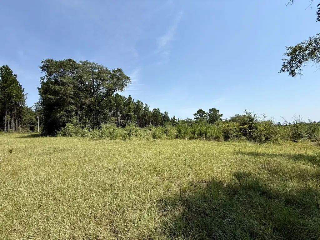 0 Louella Road Mcintosh AL 36553