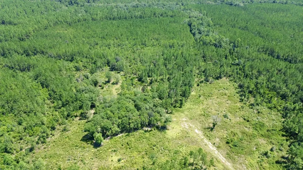 0 Louella Road Mcintosh AL 36553