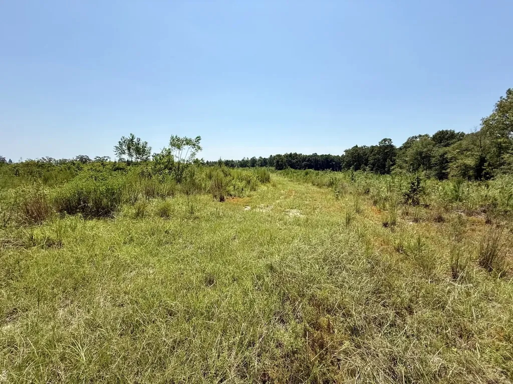 0 Louella Road Mcintosh AL 36553